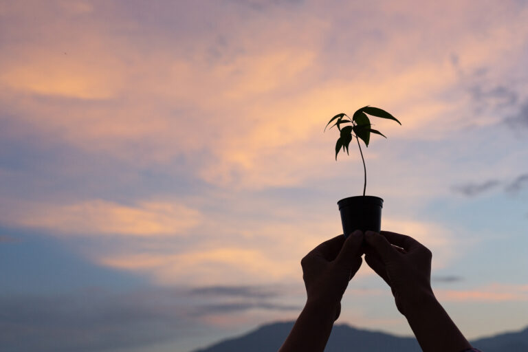 A new life !